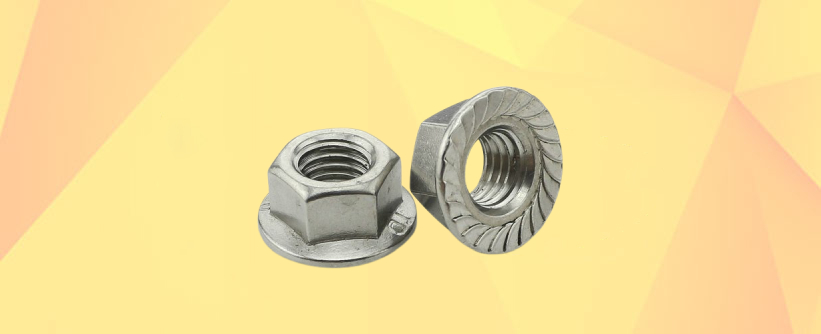 Stainless Steel Flange Nut Manufacturers