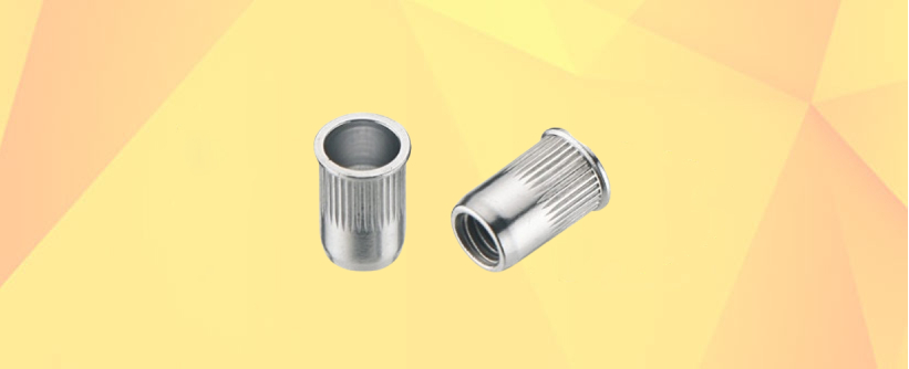 Stainless Steel Small Head Rivet Nut Manufacturers