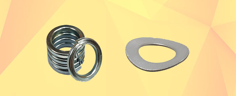 Stainless Steel Spring Washer In Amravati